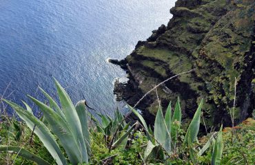 Santa Maria © All for Nature Travel