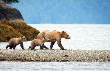 beren Knight Inlet