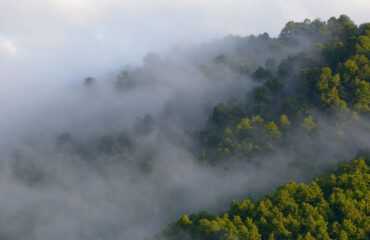 Abruzzo NP ©Umberto