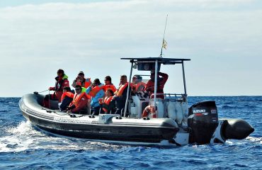 Whale watching Pico ©All for Nature Travel