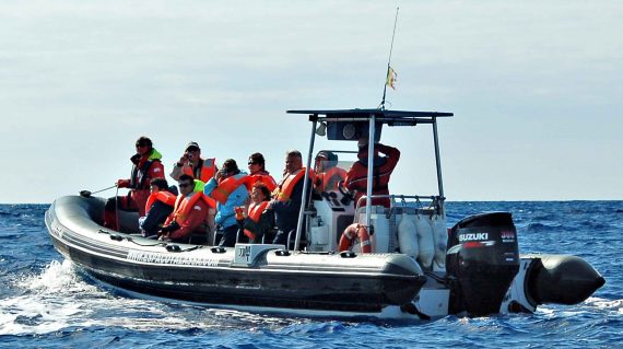 Whale watching Pico ©All for Nature Travel