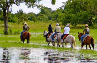 Te paard door de Pantanal bij Araras