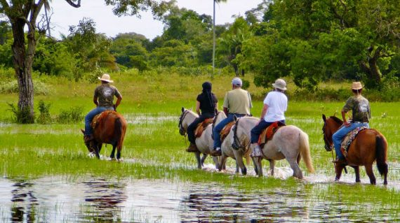 Te paard door de Pantanal bij Araras