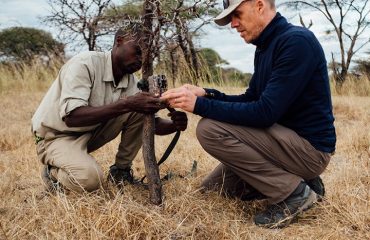 Asilia-Africa-Usangu-Expedition-Camp-Setting-a-camera-trap