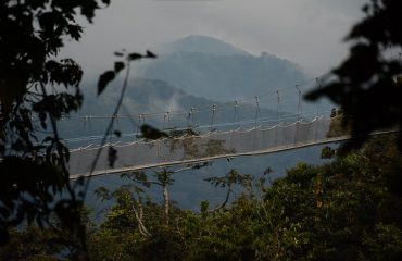 Canopy Walk Nyungwe Forest