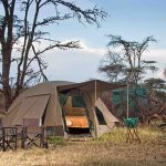 Dorobo Bush Camp, mobile camp Kenia, Mara Naboisho