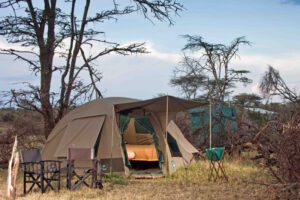 Dorobo Bush Camp, mobile camp Kenia, Mara Naboisho