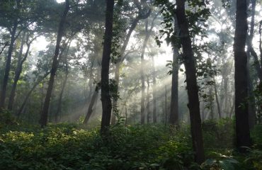 Dudhwa NP ©All for Nature Travel