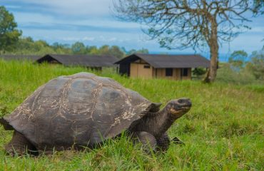 Galapagos Magic Camp