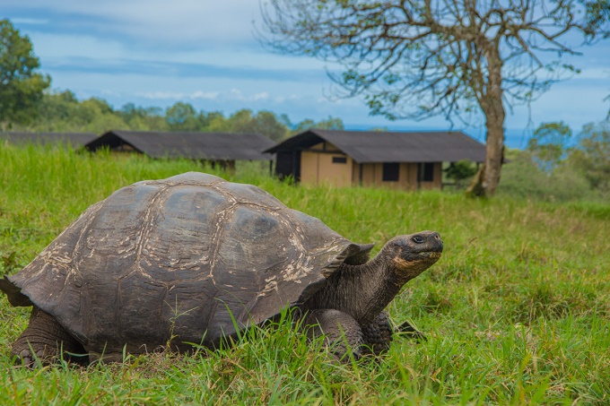 Galapagos Magic Camp