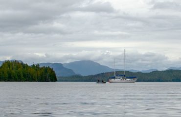 Island Roamer