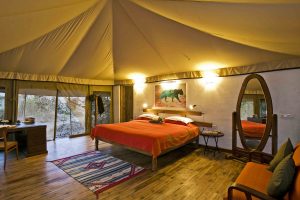 Jamtara Wilderness Camp, lodge Pench National Park