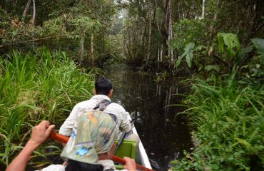 Kreekjes Napo Wildlife Center ©All for Nature Travel