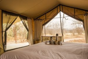 Kwihala, Ruaha NP