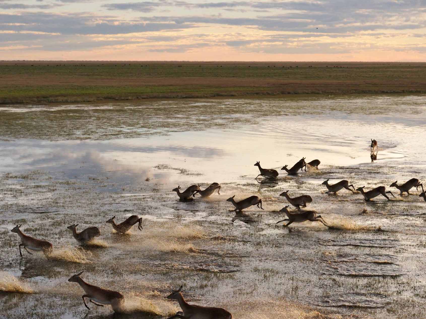 Liuwa Lechwe, reis Zambia