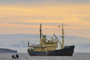 MS Malmö, Mike Reyfman, expeditieschip Noorwegen