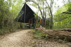 Mahoora Tented Camps, Mahoora Camp Yala, Mahoora Udawalawe, Mahoora Yala, safari Sri Lank