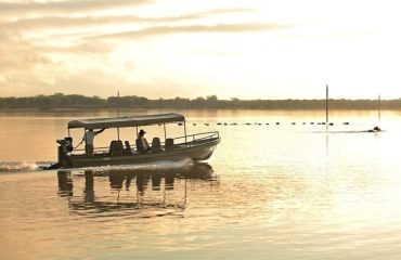 Boating-safari-Roho