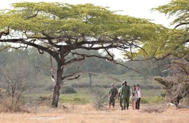 Wandelsafari-Roho
