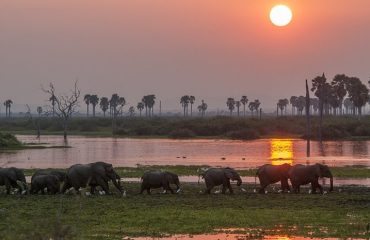 Nyerere Selous-river-sunset