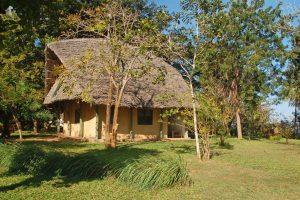 Shamba Kilole Ecolodge, hotel Mafia Island, lodge Mafia Island
