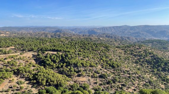 Sierra de Andujar @All for Nature Travel