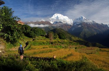 Trek around Ghandruk