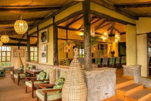 Virunga Lodge Rwanda, gorilla trekking, mountain gorilla, reis rwanda gorilla tracking, volcanoes