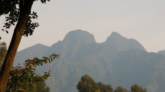 Virunga Mountains © All for Nature Travel