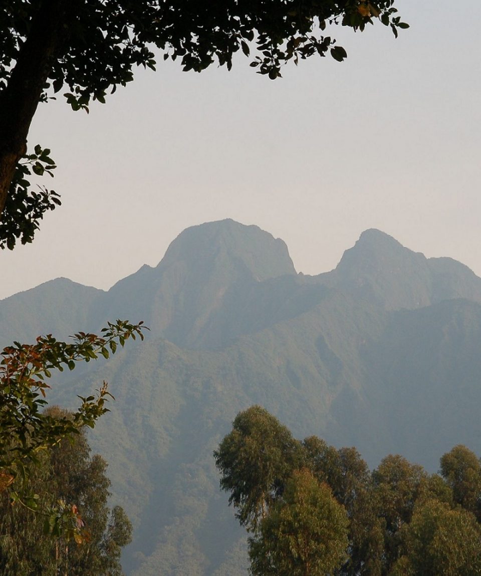 Virunga Mountains © All for Nature Travel