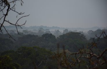 Yasuni NP