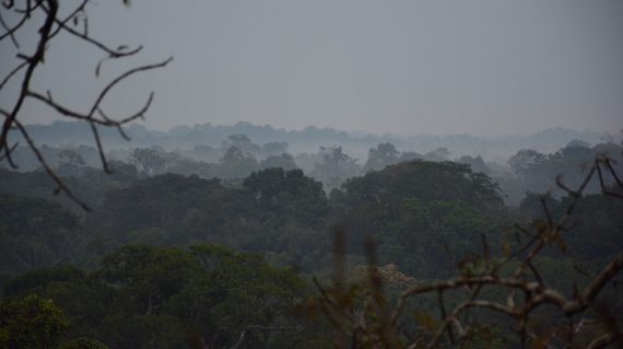 Yasuni NP