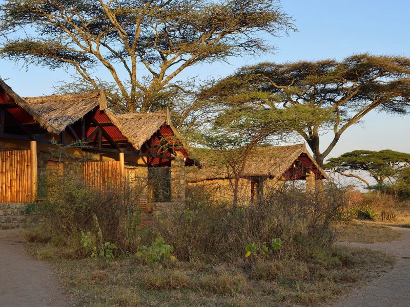 Tanzania safari, reis Serengeti, fotografiereis Martin van Lokven, migratiesafari Ndutu