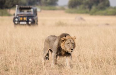 safari in Ishasa Elizabeth NP