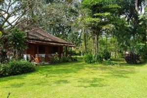 Satwa Birding Guesthouse, pension Sumatra, guesthouse Sumatra