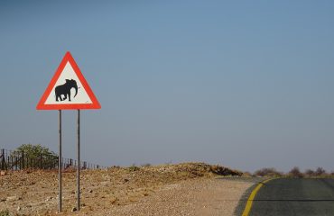 selfdrive Namibie ©All for Nature Travel