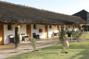 Reis Iberische lynx, Coto Donana, Spanje,Boetiekhotel Ardea Purpurea