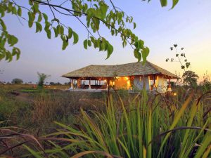 Svasara Jungle Lodge, lodge Tadoba NP