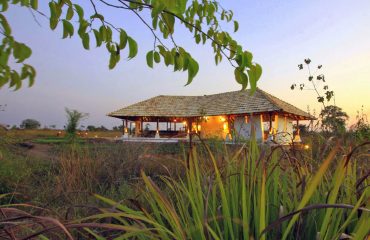 Svasara Jungle Lodge, Tadoba Andhari Tiger Reserve