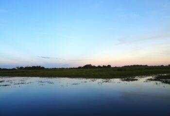 wetlands in het noorden van de Pantanal ©All for Nature Travel