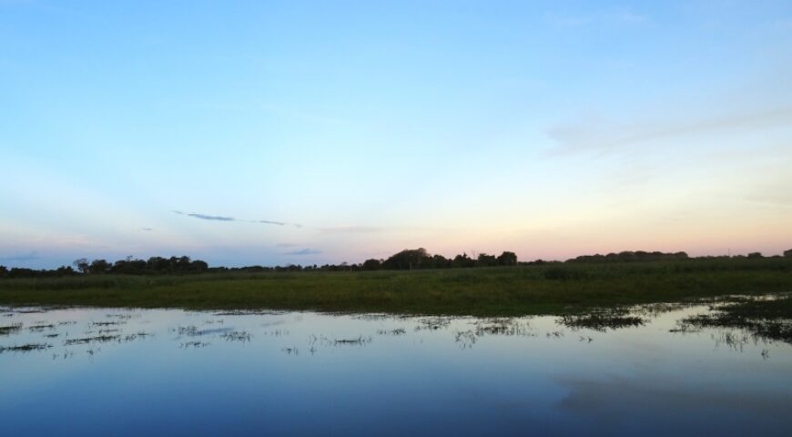 wetlands in het noorden van de Pantanal ©All for Nature Travel