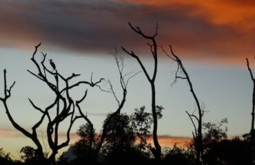 zonsondergang in het noorden Pantanal ©All for Nature Travel