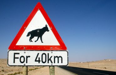 Verkeersbord Luderitz Bruine hyena ©brown hyeana project Namibie