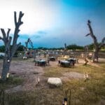 Black Buck Lodge, lodge Velavadar NP