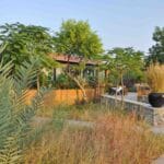 Black Buck Lodge, lodge India