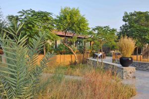 Black Buck Lodge, lodge India