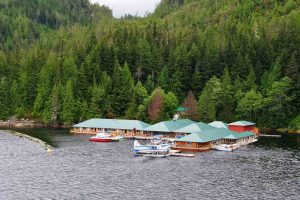 Knight Inlet Lodge, beren lodge