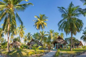 Butiama Beach huisjes, huisje Mafia Island