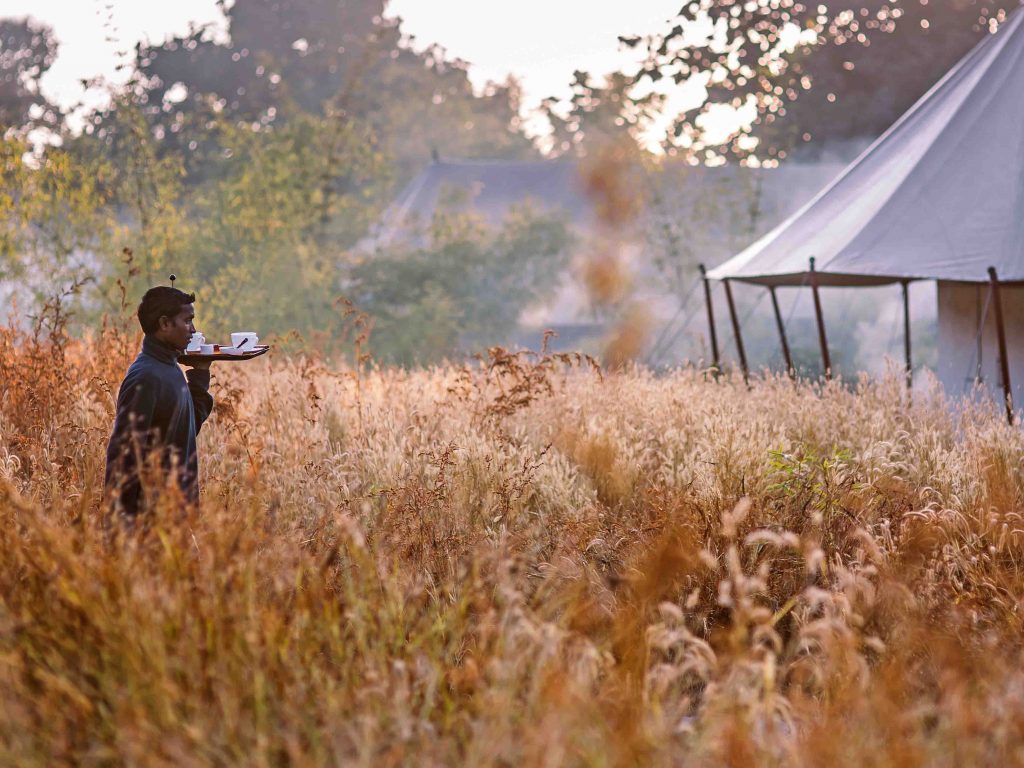 Jamtara Wilderness Camp, luxe lodge