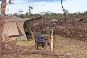 Dorobo Bush Camp, Mara Naboisho Tent Wide Shot_edited-1